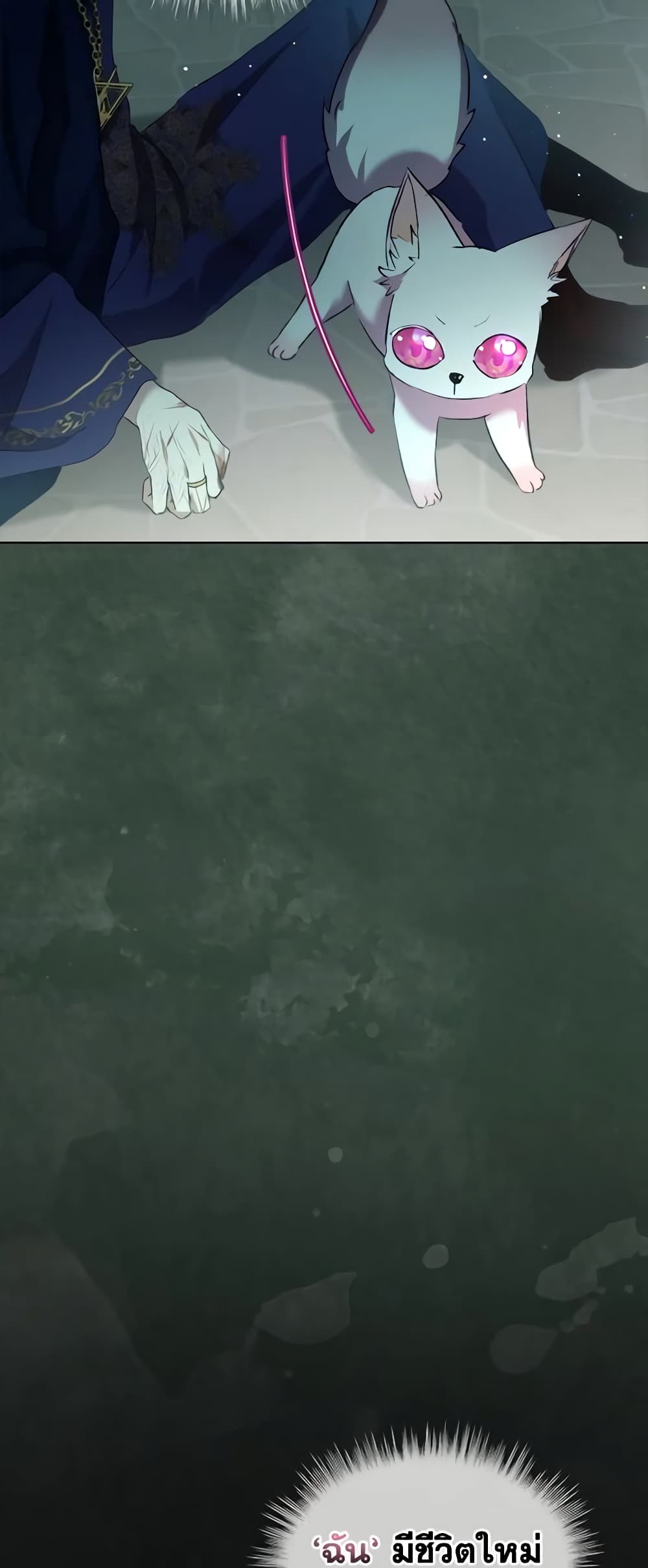 I Was Reincarnated as a Baby Fox God ตอนที่ 42 33