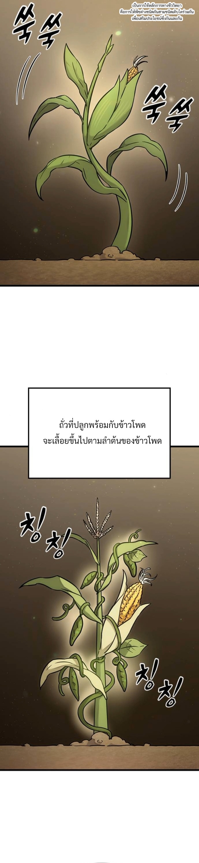 What a Bountiful Harvest, Demon Lord! ตอนที่ 36 39