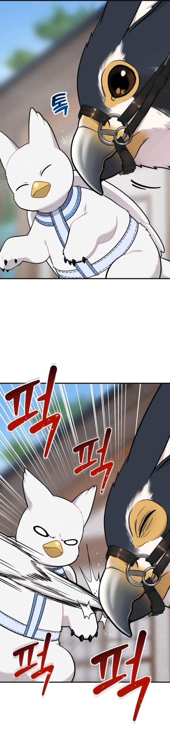 Hello, Griffin the Fluffy Tit! ตอนที่ 24 34