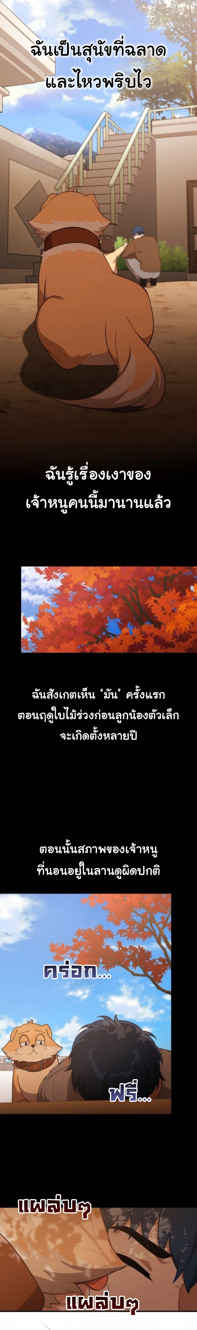 The Genius Wants to be Ordinary! ตอนที่ 52 (จบซีซั่น 1) 3