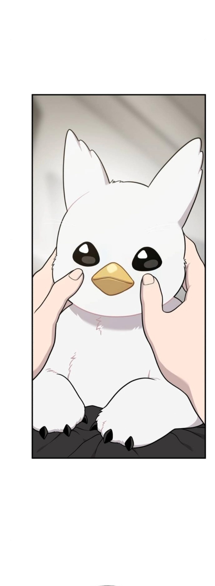 Hello, Griffin the Fluffy Tit! ตอนที่ 32 11